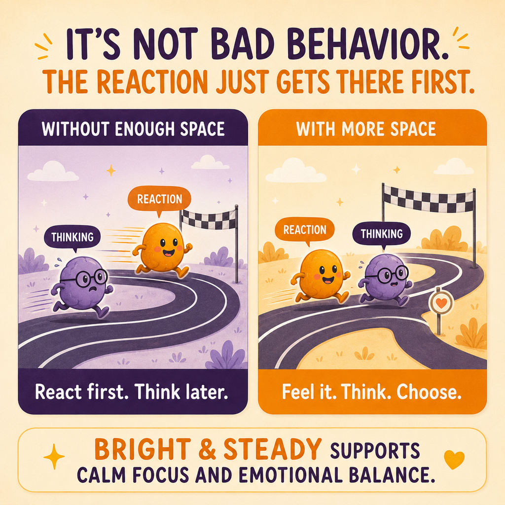 Illustration explaining fast reaction and slower thinking